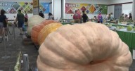 Final day of the Kentucky State Fair