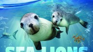 AHA! Night: Summer in the Seaport at the Whaling Museum