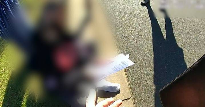 Australia crime: Queensland man with alleged bikie links charged with 28 additional DV offences