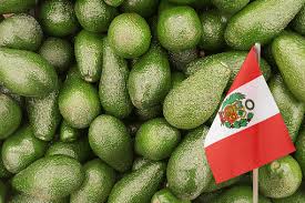 UE rechaza embarques de aguacates de Perú por estar contaminados de cadmio