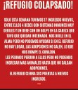 Adopciones Quilmes colapsado: no pueden recibir más animales hasta que salgan adopciones