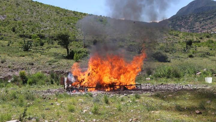 Incineran más de 35 kilos de drogas decomisadas por fuerzas federales en SLP