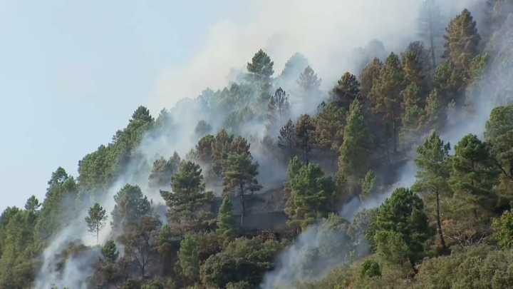 Los territorios afectados por seis incendios en Extremadura, declarados zona catastrófica
