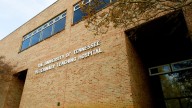 Baby Seven horse dies but leaves huge legacy at UT
