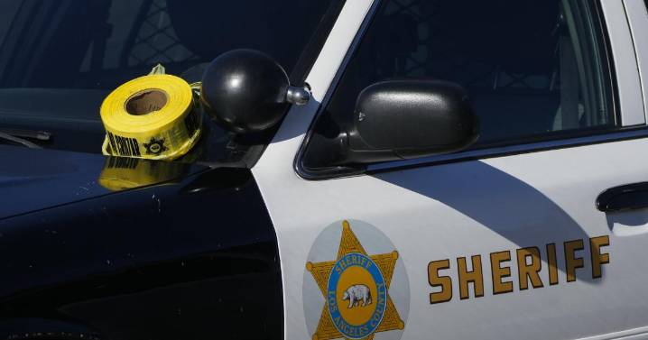Man killed after trying to stop thieves from stealing his car in South L.A., authorities say