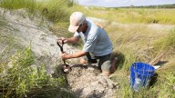 Georgia steps up and fills in federal funding gaps for sea turtles