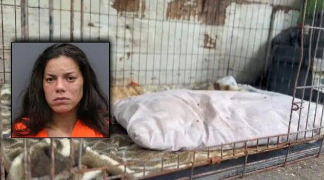 Lutz Woman Arrested In Disturbing Case Of Animal Cruelty And Child Neglect
