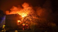 Una treintena de focos, llamas virulentas y calor extremo: el dispositivo contra el fuego en Galicia “empieza a desbaratarse”