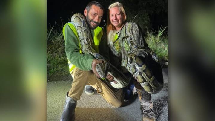Florida man removes 87 Burmese pythons from Everglades, takes home $1,000 prize