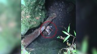 Florida Man Was Startled After Hearing Howling Sounds In A Deep Cave, Only To Discover Something Shocking