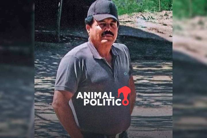 Decomiso millonario y señalamientos de sobornos a políticos mexicanos marcan audiencia de “El Mayo"