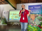 Palmira se viste de cacao: el ‘Oís’ que floreció en el corazón del Valle