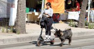 Buscarán periodo de gracia para regulación; Scooters, motos y bicis eléctricas