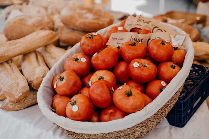 La ruta del pincho del tomate calienta motores para el Festival del Tomate de Santa Cruz de Bezana