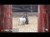 Young boy places fourth but wins hearts at goat show