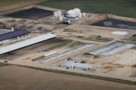 6 People Dead Following Accident at Colorado Dairy Farm