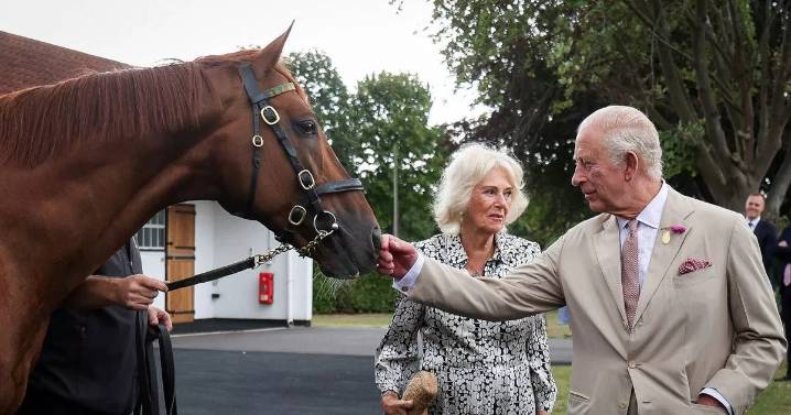 King Charles and Queen Camilla searching for jobseeker with eye for 'complex' issues