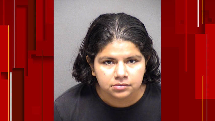 Woman sentenced to 22 years for 2022 head-on crash that killed 18