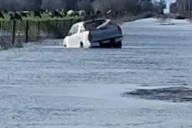 “Catastrófico”. Alarmante situación en las zonas rurales en jaque por las inundaciones