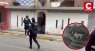 Huaral: Mascota impidió que explotara dinamita en casa de un periodista