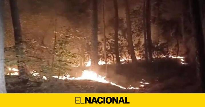 Estabilizado el incendio forestal de tres focos entre Amer y Susqueda