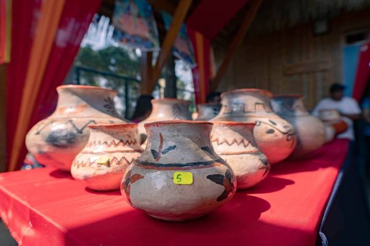 Lamas realiza el cuarto Festival de la Tinaja en honor a Santa Rosa Raymi