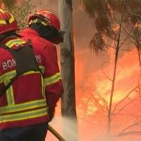 Wildfires cause closures in Kisatchie National Forest