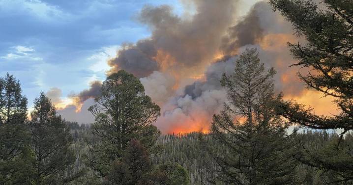 Montana secures FEMA grant for nearly 4,000-acre Windy Rock fire outside Drummond