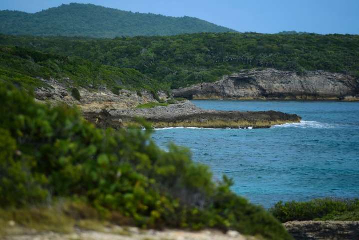 Viequenses buscan negociar con gobierno de EE.UU. en demanda que exige reparaciones por daños y violaciones de la Marina de Guerra