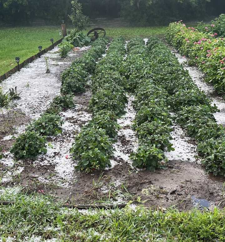 Torrential rain, hail batter communities across southeast
