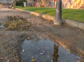 OPINIÓN | El parque del Alcázar