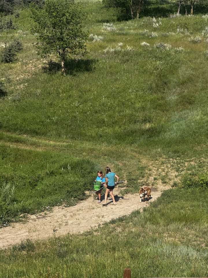Veeder: Catching frogs a rite of passage in summer