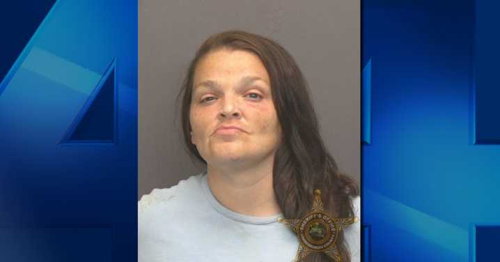 Evansville woman arrested after allegedly punching child and running from police