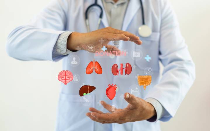 Terumo Acquiring Its Way Into The Intriguing Organ Donation Market (OTCMKTS:TRUMF)