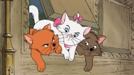 'The Aristocats' Live-Action Movie Scrapped at Disney