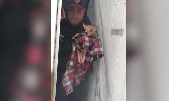 Rescatan a perrito de incendio en casa de Álvaro Obregón