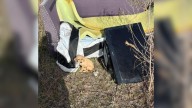 Texas Man Sees Something Moving Near Pile Of Trash And Makes A Shocking Realization