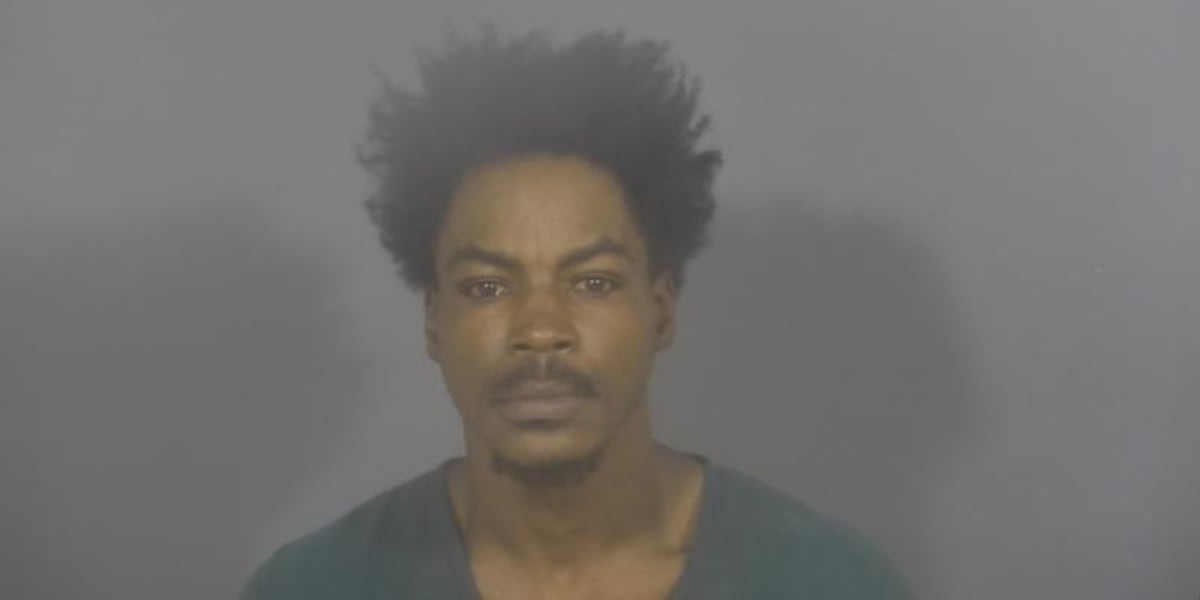 Man arrested after allegedly threatening to stab people at Howard Park