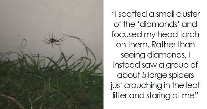 93 People Share The Creepiest Things They’ve Seen Outdoors And It’s Terrifying