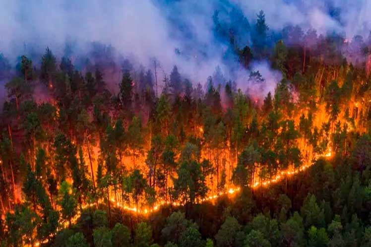 Continúa en Francia el combate contra el incendio forestal del siglo