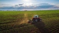Mejora el sector agropecuario