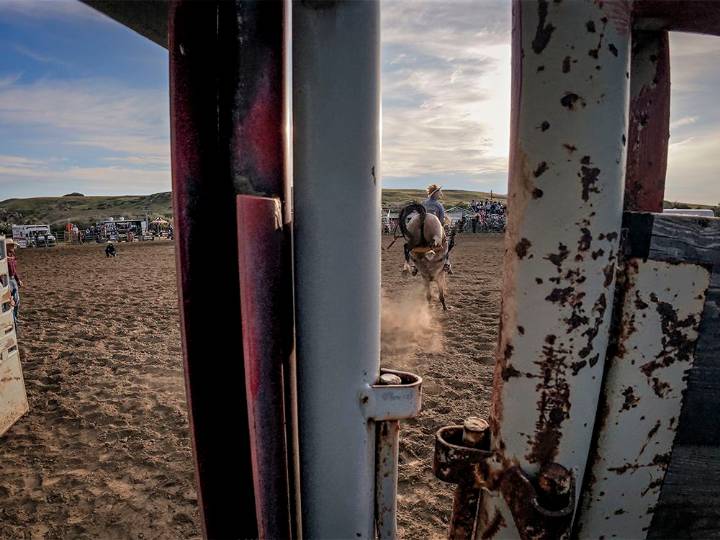 On the Road: At the rodeo