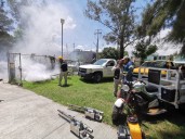 Refuerzan campaña contra el dengue con acciones de descacharrización