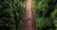 Ask Search & Rescue: Should you hike (bike, ski, climb) alone?