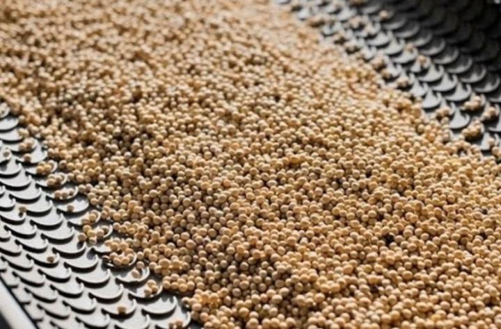 EE.UU. amenaza exportaciones argentinas de harina de soja