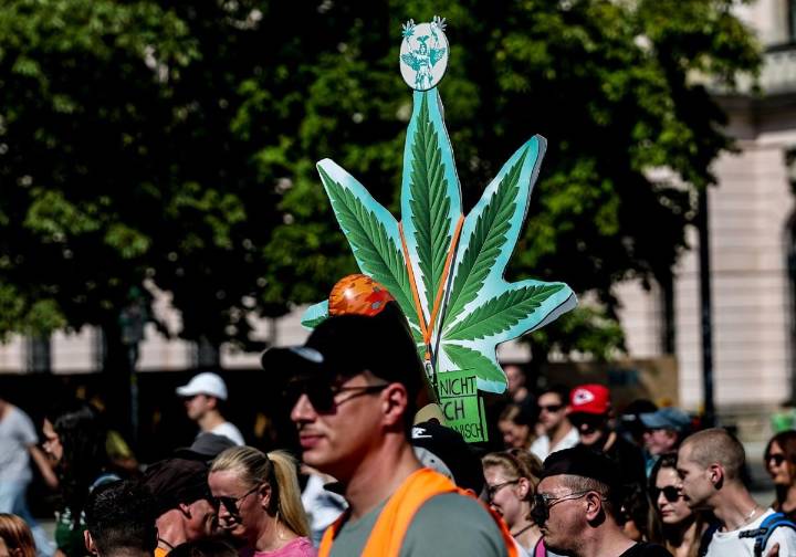 Trump agita a la derecha al plantear la reclasificación de la marihuana