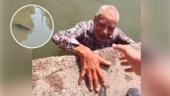Rescatan a abuelito de 87 años de ser devorado por un cocodrilo en Tampico