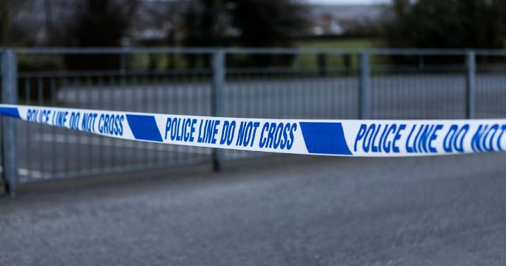 Woman, 23, arrested after crash between car and lorry in Harrow