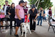 Se suma Estefanía a estrategia estatal en la Caravana de Bienestar Animal
