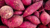 El tubérculo que poca gente conoce y hay que comer para fortalecer la memoria